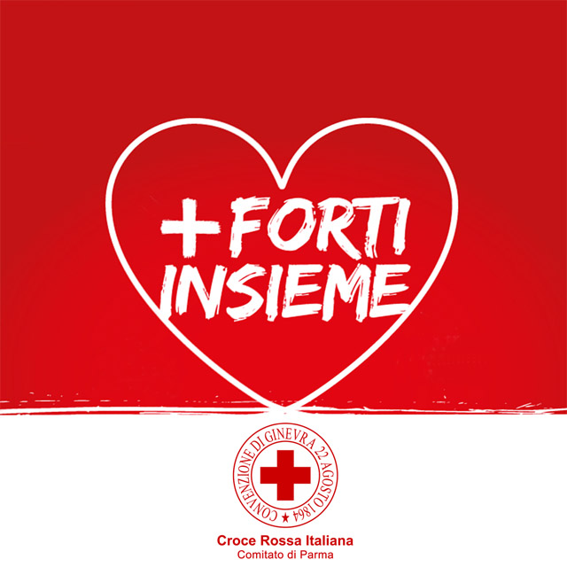 + Forti Insieme
